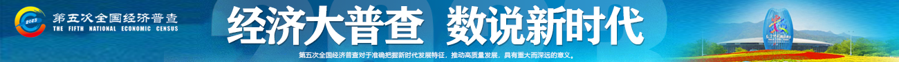第五次全國經濟普查